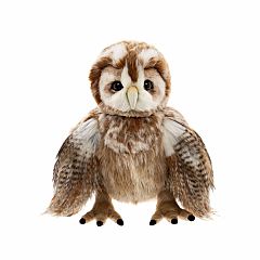 Flight Lieutenant Fountain (2026)