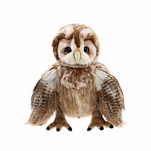 Flight Lieutenant Fountain (2026)