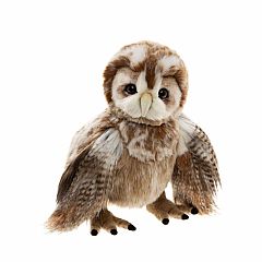 Flight Lieutenant Fountain (2026)