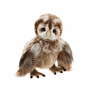 Flight Lieutenant Fountain (2026)