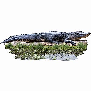 Madd Cap Puzzle - I Am Lil Gator 100-Piece