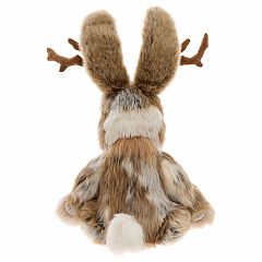 Jackalope (2026)