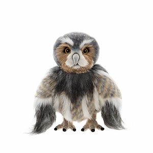 Wing Commander Swift (2026)