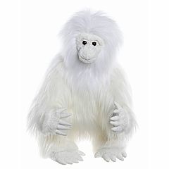 Yeti