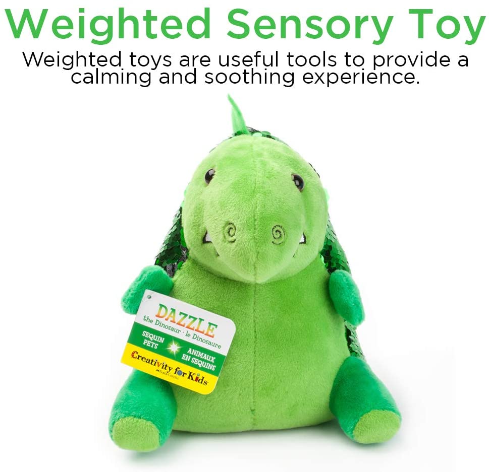 weighted sequin pet