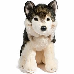 Atka Wolf