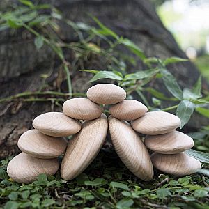 Wood Stackers River Stones