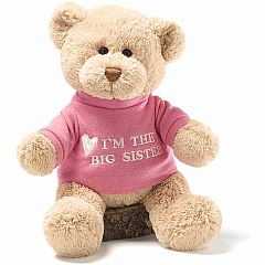GUND I'm the Big Sister T-Shirt Teddy Bear Stuffed Animal 12”