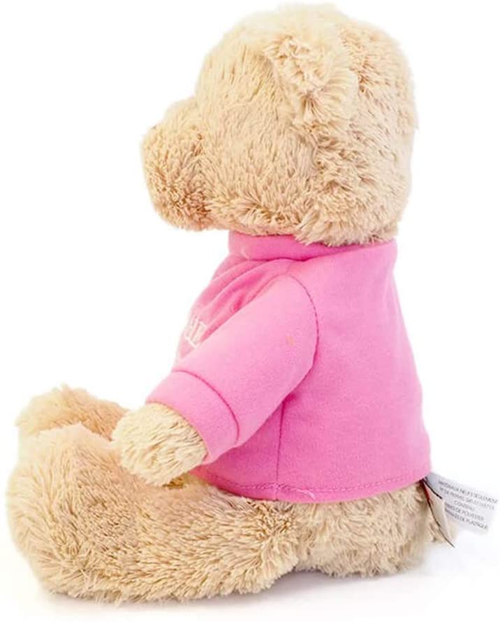 Pink GUND I'm the Big Sister T-Shirt Teddy Bear Stuffed Animal Plush 12” 