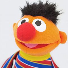 GUND Sesame Street Ernie Plush Toy