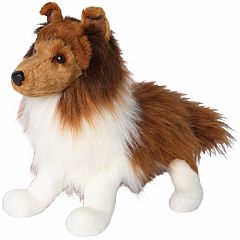 Whispy Sheltie Dog