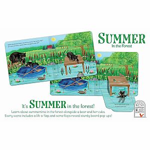 Surprise Summer in the Forest