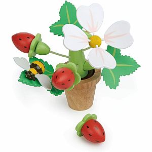 Strawberry Flower Pot