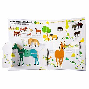 The Ultimate Book of Horses